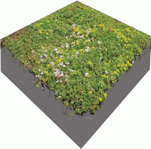 دانلود کتاب Green Roof Retrofit